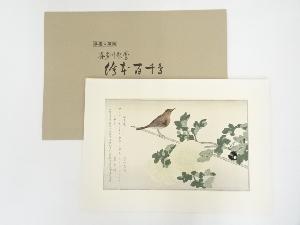 喜多川歌麿　四十雀にこまどり　手摺浮世絵木版画